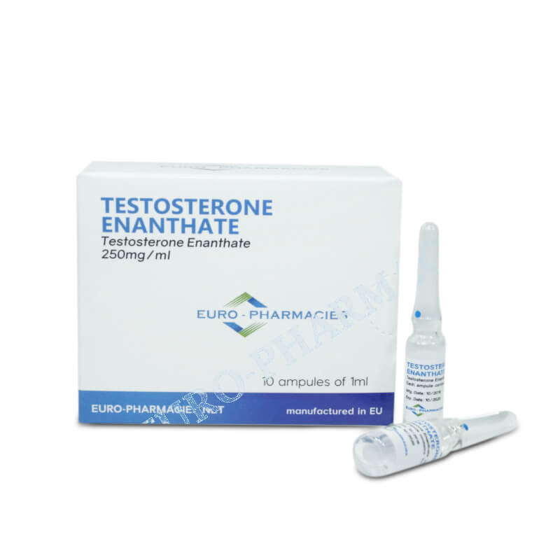10 ampTestosterone Enanthate 250mgml 1mlamp Euro Pharmacies STERO.is